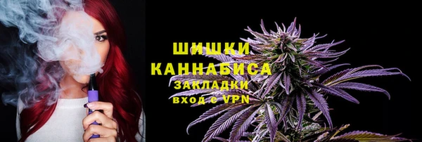индика Алексеевка