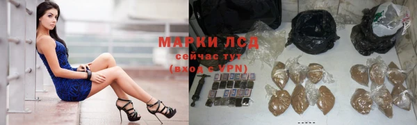 ПСИЛОЦИБИНОВЫЕ ГРИБЫ Алексин