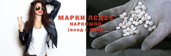 ПСИЛОЦИБИНОВЫЕ ГРИБЫ Алексин