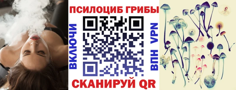продажа наркотиков  blacksprut как зайти  нарко площадка наркотические препараты  Кола  Псилоцибиновые грибы прущие грибы 